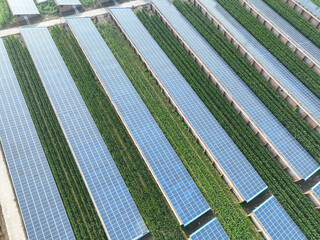 solar panels with farm