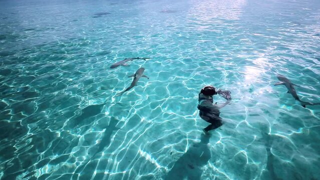 Female Tourist Recording Wild Fish Swimming In Blue Sea - Bimini, The Bahamas