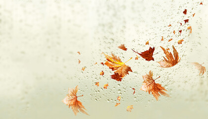 rain water drops on the glass leaf leaves falling in autumn season isolated for background many - 3d rendering