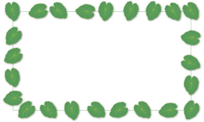 Leaves frame on  background vector