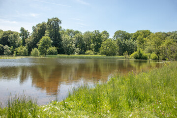 Fototapeta na wymiar Summertime lakeside scenery in the UK.