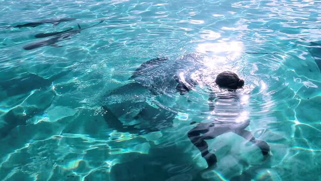 Female Scuba Diver Swimming And Filming Fish In Sea - Bimini, The Bahamas
