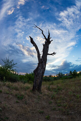 The dead end of the further development of life and activity 