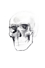 Ink sketch of a skeleton head on paper