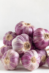 Violet garlic bunch on a white background. Copy space.