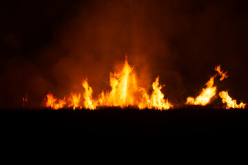 Fototapeta na wymiar The fire burns the straw and the hay in the fields at night. in the northeastern part of Thailand southeast asia