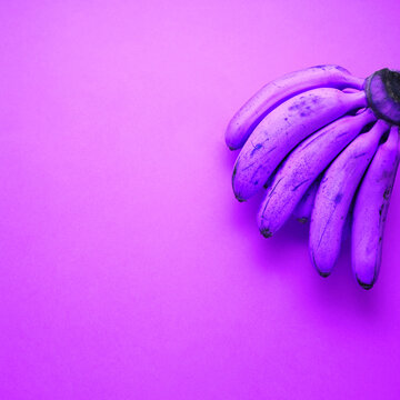 Creative concept photo of painted bananas on purple.