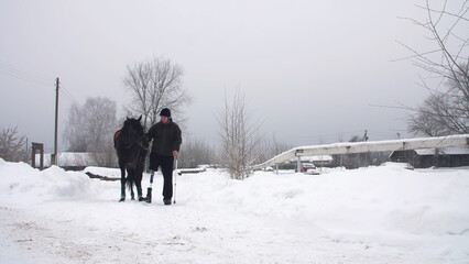 snowy winter, disabled man jockey leads, holding with reins a black horse on the way. man has a prosthesis instead of his right leg. concept of rehabilitation of disabled with animals. hippotherapy