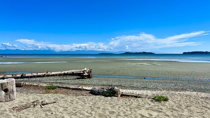 Rathtrevor Beach, Parksville calm Pacific Ocean in Vancouver Island the water went into the sea broken huge trees dried up lie on the beach as if after a storm silence calmness and no people.