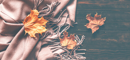 Autumn home cozy composition with a scarf and maple leaves on a wooden background.