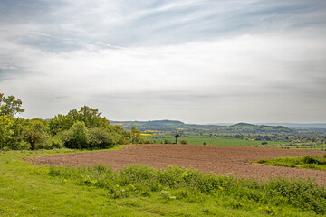 Fototapeta premium Summertime scenery in the UK.