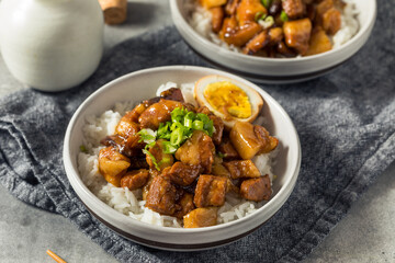 Homemade Taiwanese Lu Rou Fan Braised Pork and Rice