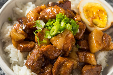 Homemade Taiwanese Lu Rou Fan Braised Pork and Rice