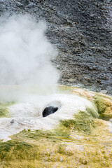 Norris Geyser Basin in Yellowstone National Park