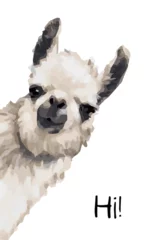 Foto auf Alu-Dibond cute alpaca or llama. poster. animal. wildlife. vector illustration.  picture. art. design. watercolor © Daria Bubnova