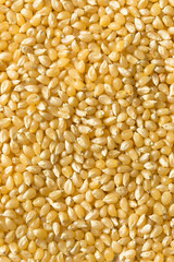 Dry Organic White Popcorn Kernels