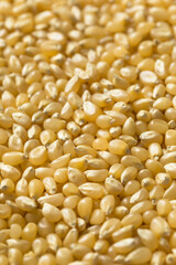 Dry Organic White Popcorn Kernels