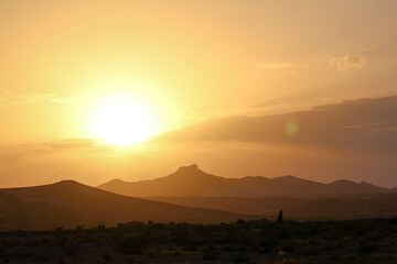sunset with sheep Tunisia, Berber mountain 
