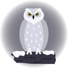 Snowy owl