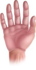 Hand five senses human body part sensory organ icon representing touch