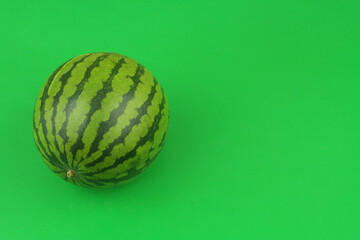 Whole watermelon on green background with copy space for text.	