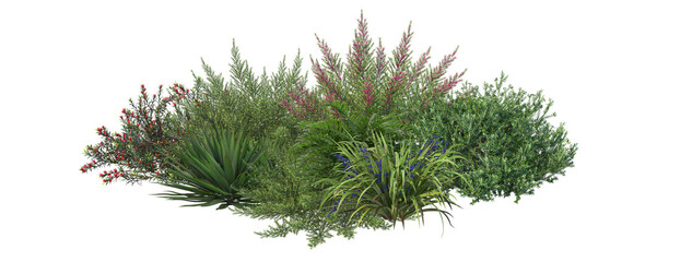 Fototapeta premium Shrubs and plants on a transparent background 