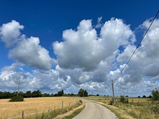 Fototapeta na wymiar road in the field and cloudy sky