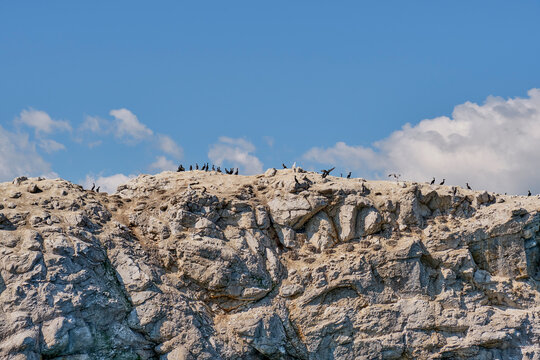 Close-up of White Stone Island, Belyy Kamen on Lake Baikal, Russia. Cormorants and seagulls