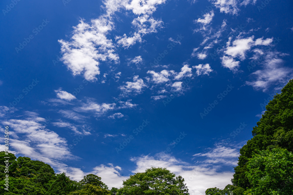 Poster 山と青空