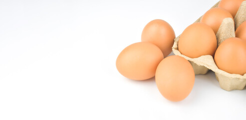 Fresh and appetizing eggs are packed in egg cartons. put on a white background