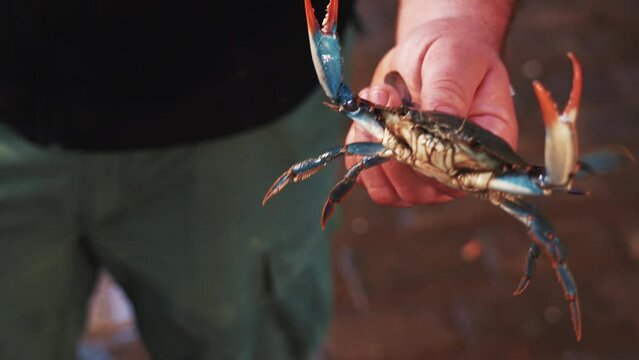 Close up of a man holding an alive crab Kapani Market, one of the largest and most popular covered markets in Thessaloniki, Macedonia, Greece. Shops selling fresh raw fish and seafood. High quality 4k