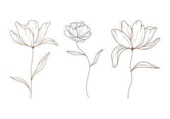 set of flowers. 
three flowers are drawn in one line. simple minimalistic illustration. nature. flora. flower. tenderness. beauty. logotype