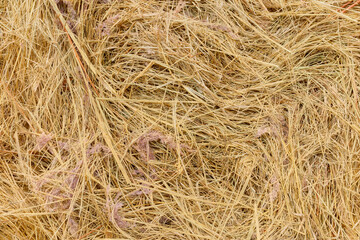 Close up picture of a hay bale, abstract natural background.