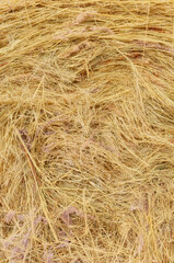 Close up picture of a hay bale, abstract natural background.