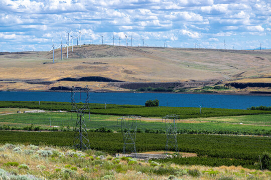 Windmills and Fields around the Columbia River