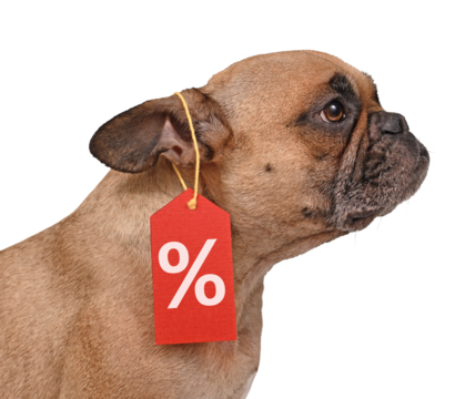 French Bulldog dog with price tag with percent sale sign isolated on transparent background