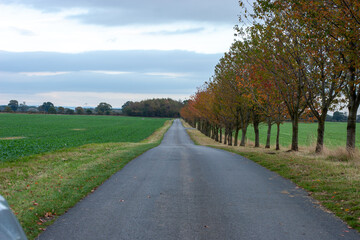 country road in autumn