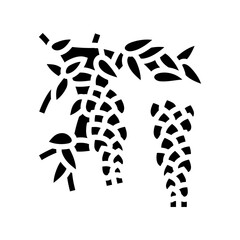 wisteria liana glyph icon vector. wisteria liana sign. isolated symbol illustration