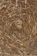 Gros plan sur une meule de paille.