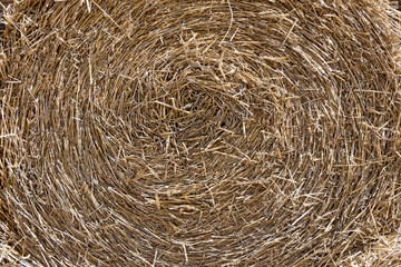 Paille enroulée en meule.