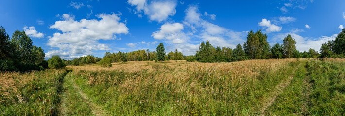 Obraz na płótnie Canvas path on hill side with meadow and trees