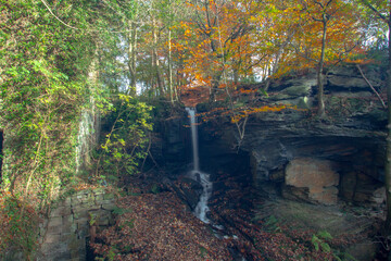 waterfall in the forest
