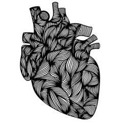 heart vector image, patterns with black lines on the heart, coloring book, sticker, tattoo, logo