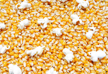 Unpopped and popped corn kernels background