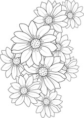 white chrysanthemum daisy flower 