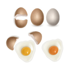 Chicken eggs in realistic style Fresh brown eggs in paper box, vector format