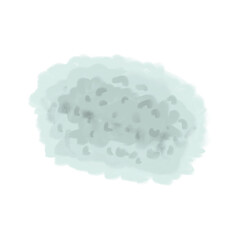 japanese sushi food watercolor paint