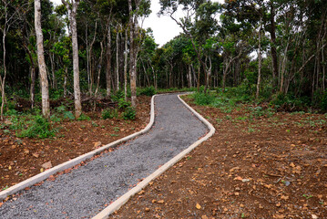 Black River Gorges National Park is a national park in the hilly south-western part of Mauritius, park protects most of the island's remaining rainforests, Mauritius, Africa