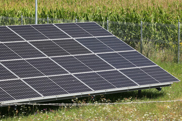 Farma ekologicznych paneli słonecznych na polanie. - obrazy, fototapety, plakaty