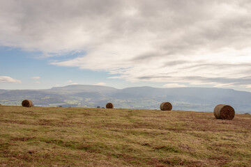 Welsh hills of the UK. - Powered by Adobe